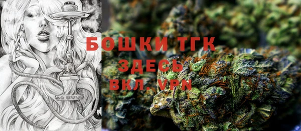 ГАЛЛЮЦИНОГЕННЫЕ ГРИБЫ Бронницы