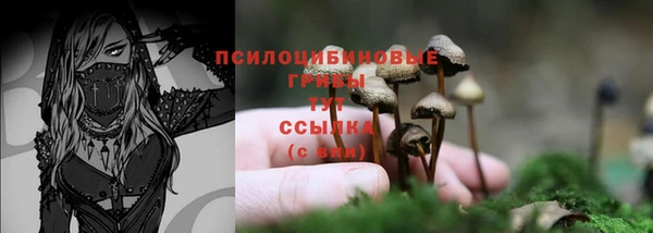 ГАЛЛЮЦИНОГЕННЫЕ ГРИБЫ Бронницы